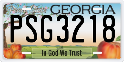 GA license plate PSG3218
