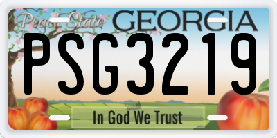 GA license plate PSG3219