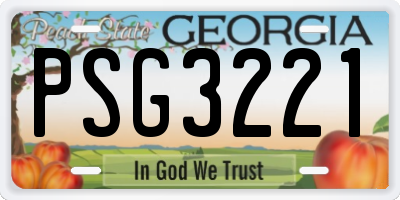 GA license plate PSG3221
