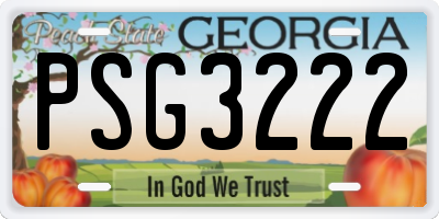 GA license plate PSG3222