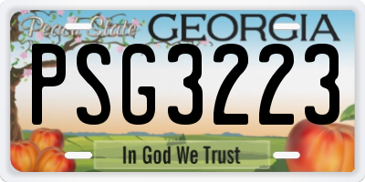 GA license plate PSG3223