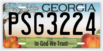 GA license plate PSG3224