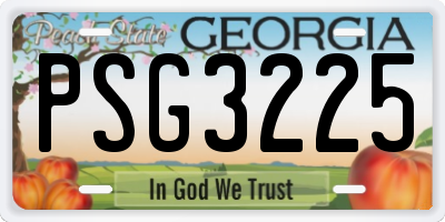 GA license plate PSG3225