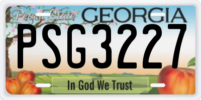GA license plate PSG3227