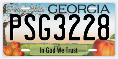 GA license plate PSG3228