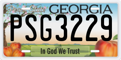 GA license plate PSG3229