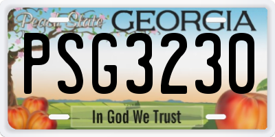 GA license plate PSG3230