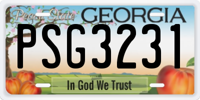 GA license plate PSG3231