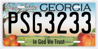 GA license plate PSG3233