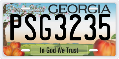 GA license plate PSG3235