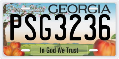 GA license plate PSG3236