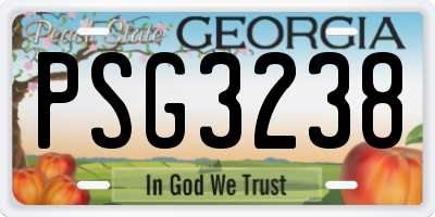 GA license plate PSG3238