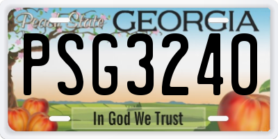 GA license plate PSG3240