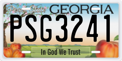 GA license plate PSG3241
