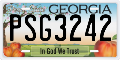 GA license plate PSG3242