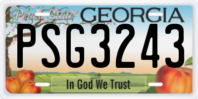 GA license plate PSG3243