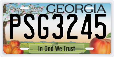 GA license plate PSG3245
