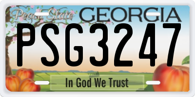GA license plate PSG3247