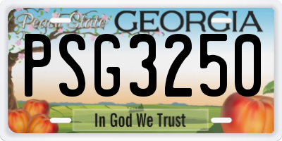 GA license plate PSG3250