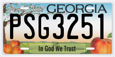GA license plate PSG3251