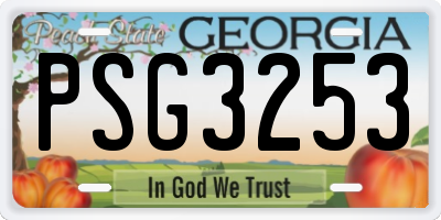 GA license plate PSG3253