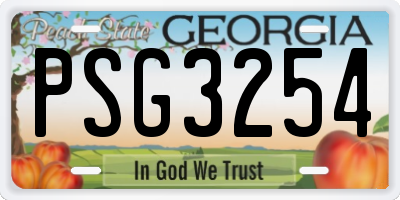 GA license plate PSG3254