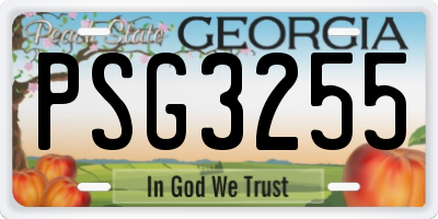 GA license plate PSG3255