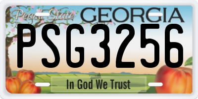 GA license plate PSG3256