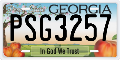 GA license plate PSG3257