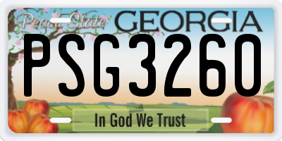 GA license plate PSG3260