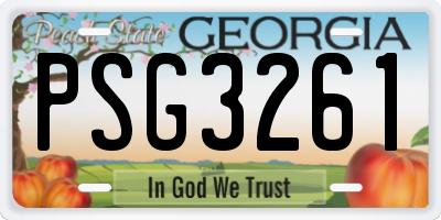 GA license plate PSG3261