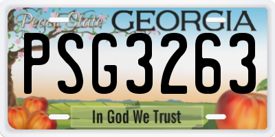GA license plate PSG3263