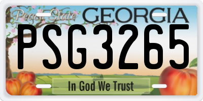 GA license plate PSG3265