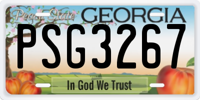 GA license plate PSG3267