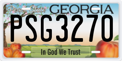 GA license plate PSG3270