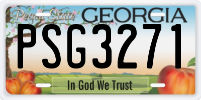 GA license plate PSG3271
