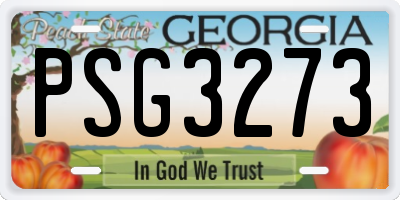 GA license plate PSG3273