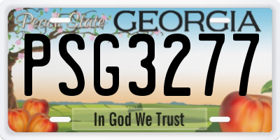 GA license plate PSG3277