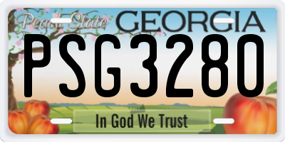 GA license plate PSG3280