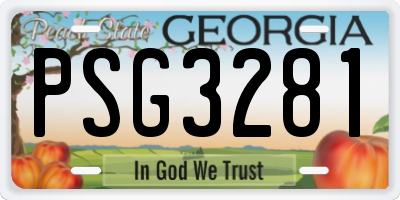 GA license plate PSG3281