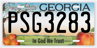 GA license plate PSG3283