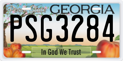GA license plate PSG3284