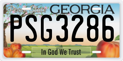 GA license plate PSG3286