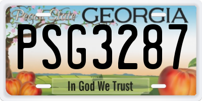 GA license plate PSG3287
