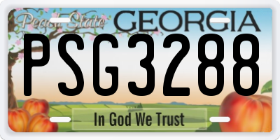 GA license plate PSG3288