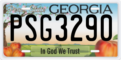 GA license plate PSG3290