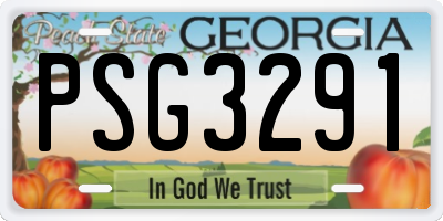 GA license plate PSG3291