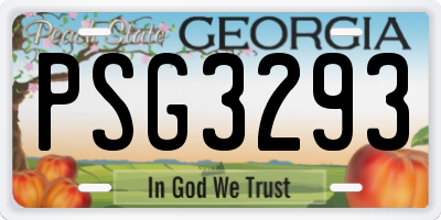 GA license plate PSG3293