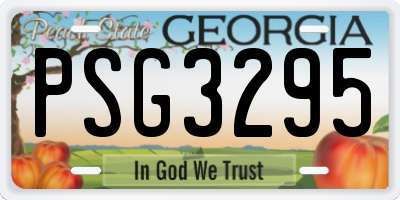 GA license plate PSG3295