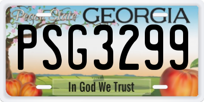 GA license plate PSG3299